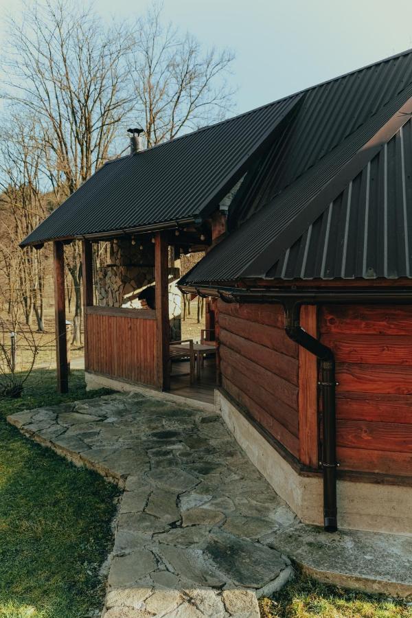 Vigora Verkhovyna